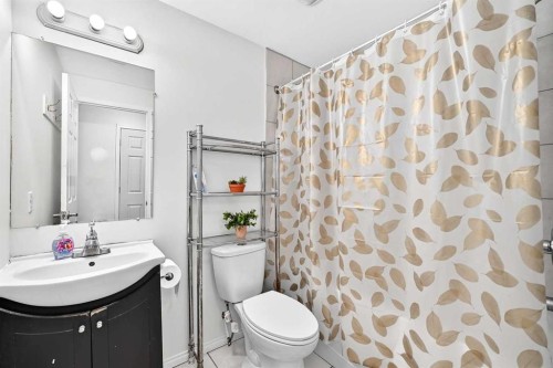 303 Saddlebrook Circle Ne, Calgary, AB 
