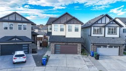 48 Skyview Point Terrace NECalgary, AB T3N 0G7