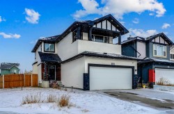 282 Saddlefield Place NECalgary, AB T3J 4Z3