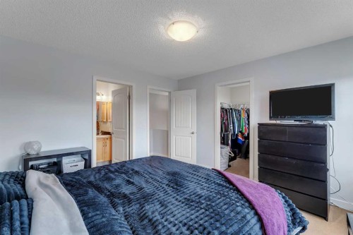 133 Covebrook Close Ne, Calgary, AB 