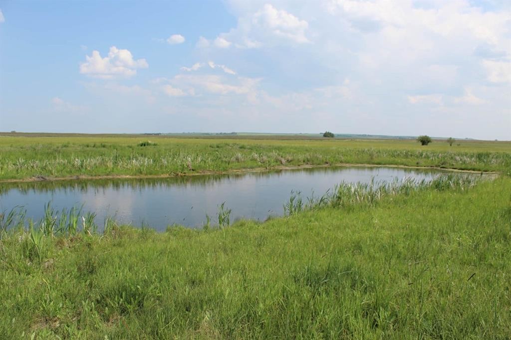 272079 Highway 547, Rural Foothills County, AB