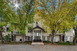 302-7 Crystal Ridge Cove Strathmore, AB T1P 1W5