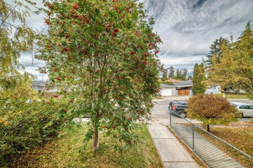 7409 37 Avenue Nw, Calgary, AB 