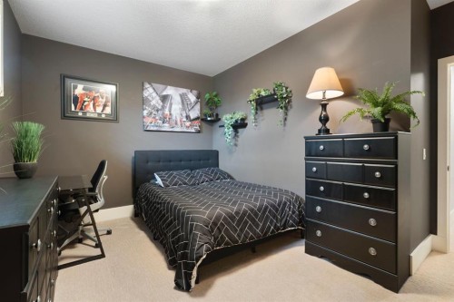 87 Coulee Way Sw, Calgary, AB 
