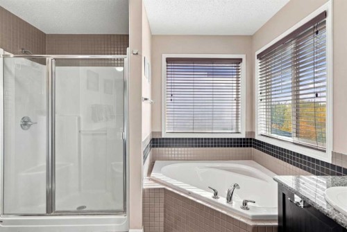 81 Walden Rise Se, Calgary, AB 
