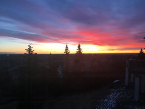 255 Edgebrook Park Nw, Calgary, AB 