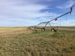 none S 18 16 19 W4 Lomond, AB T0L 1G0