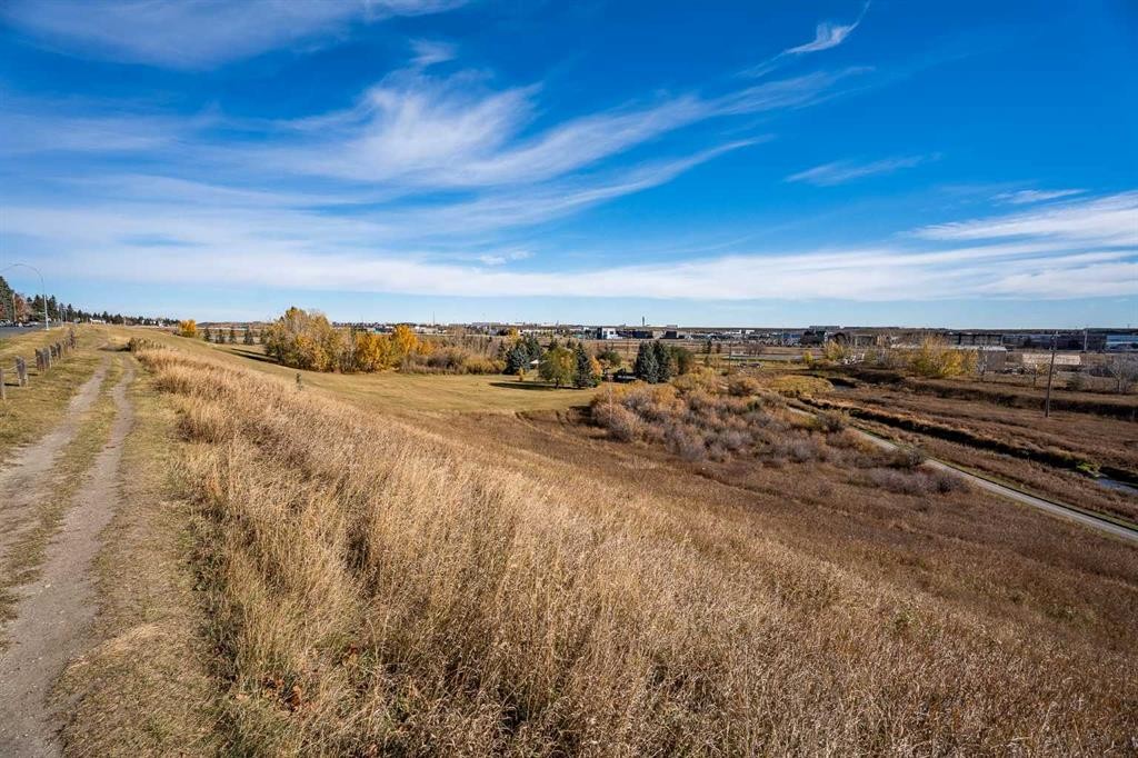 20 Blackthorn Place Ne, Calgary, AB
