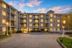 209-260 Shawville Way SE Calgary, AB T2Y 3Z7