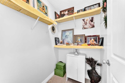 336 Saddlemont Boulevard Ne, Calgary, AB 
