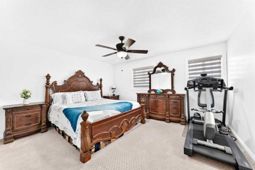 336 Saddlemont Boulevard Ne, Calgary, AB 