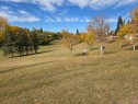 5031 Trelle Drive Ne, Calgary, AB 