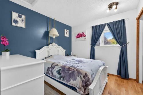 218 Coventry Close Ne, Calgary, AB 
