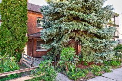 212 Lippincott Street Toronto, ON M5S 2P5
