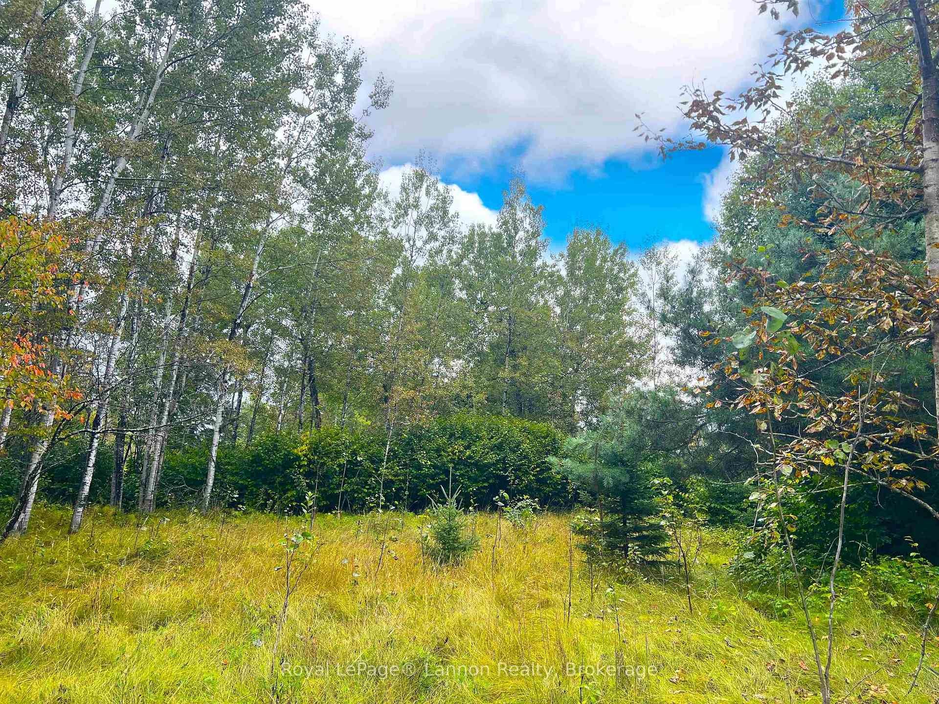 2170 Lynda Avenue, Thunder Bay, ON