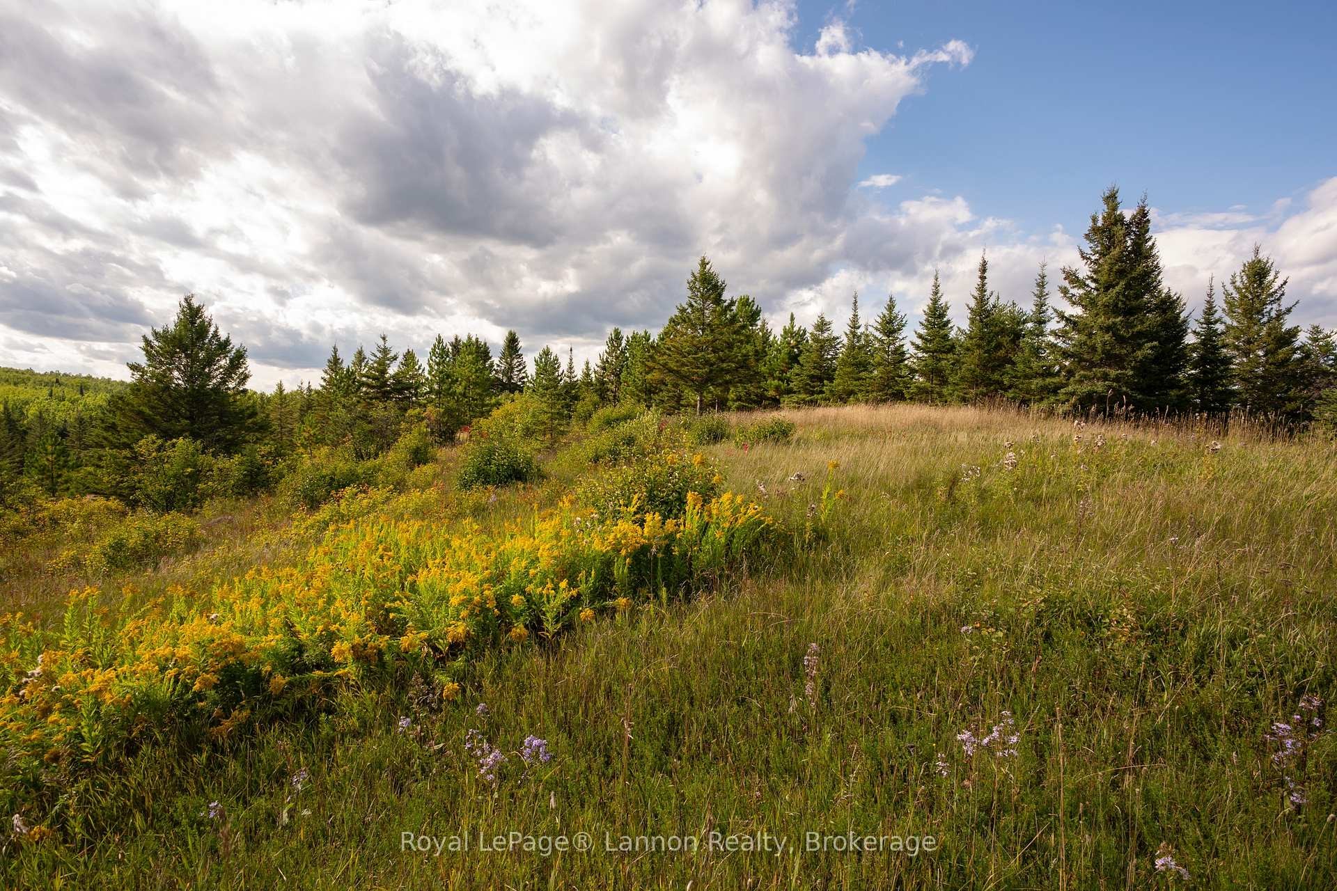 6627 Dawson Road, Thunder Bay Remote Area, ON
