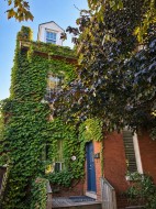 3-21 West Avenue SHamilton, ON L8N 2S2