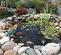 small pond/water feature in the summer time