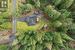 aerial views of property, well treed perimeter on 3 sides