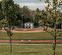 Major League baseball diamond at Little League Park in walking distance