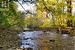 Property view of water featuring a view of trees