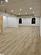 Basement with light hardwood / wood-style flooring and a drop ceiling