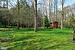Very Large Backyard with Mature Trees & a Storage Shed