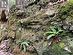 Textured rock formations closer to the back of the property.