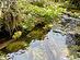 Ever-flowing natural spring at the back of the property.