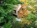 Log Home Nested In Your Own Forest