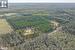 Almost 50 acres of treed land with 2 homes!