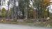 lovely wooded lot 1.14 acres