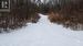 Winter photo of trail into land from Ronson Rd