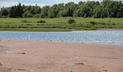 St Nicholas St. Nicholas, PE C0B 1B0