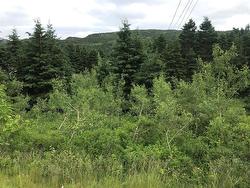 0 Snows Lane Road  North River, NL A0A 3C0