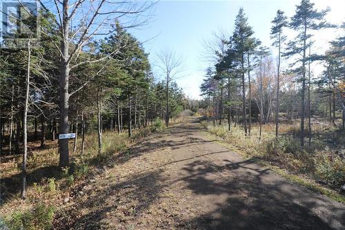 Lot 10-06 Golden Mile Drive, Grand Manan, NB 