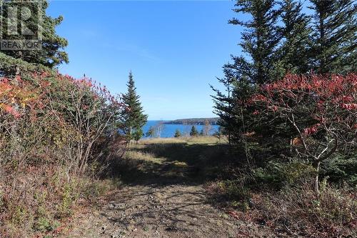 Lot 10-06 Golden Mile Drive, Grand Manan, NB 