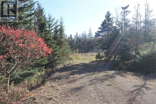 Lot 10-06 Golden Mile Drive, Grand Manan, NB 