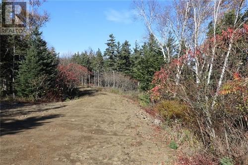 Lot 10-06 Golden Mile Drive, Grand Manan, NB 