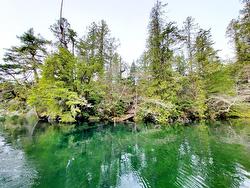 LT 3 Cypress Bay  Tofino, BC V0R 3A0