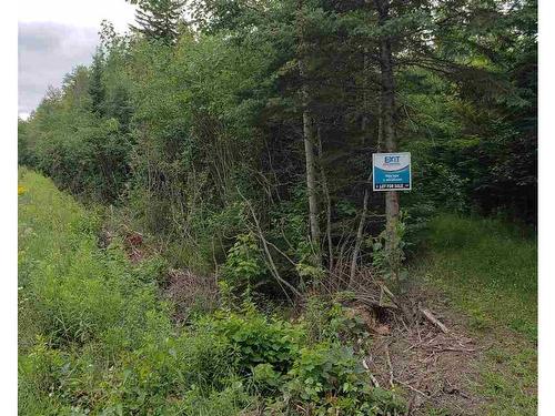 Cole Road, Meaghers Grant, NS 