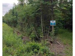 Cole Road  Meaghers Grant, NS B0N 1V0