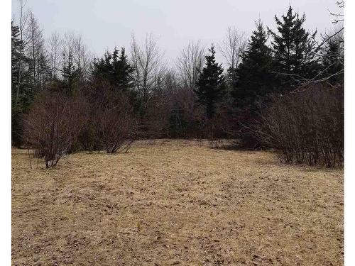 Cole Road, Meaghers Grant, NS 