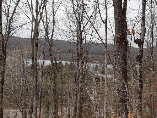 Overall view - Ch. Des Pionniers, La Minerve, QC 