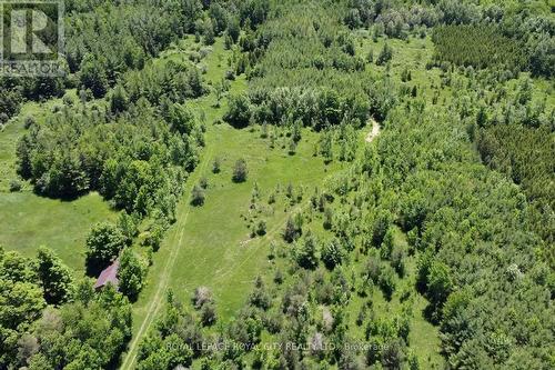 466408 12Th Concession B Line, Grey Highlands, ON 