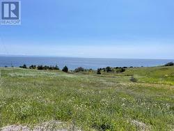 460 Main Route  Felix Cove, NL A0N 1T0