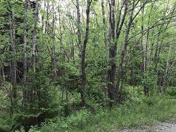 53.03 Acres Highway 308 Highway  Belleville, NS B0W 3M0