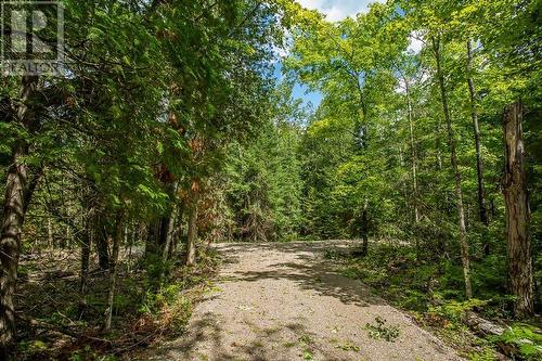 Lot 27 Richmond Bay Rd|Hilton Township, St. Joseph Island, ON 