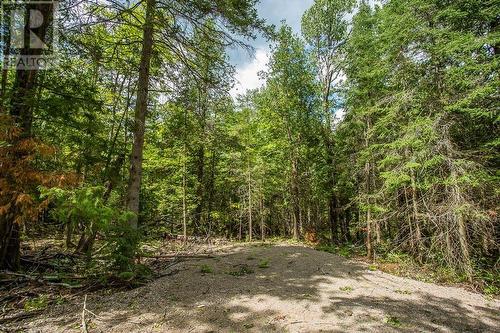 Lot 27 Richmond Bay Rd|Hilton Township, St. Joseph Island, ON 