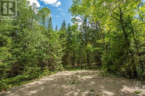 Lot 27 Richmond Bay Rd|Hilton Township, St. Joseph Island, ON 